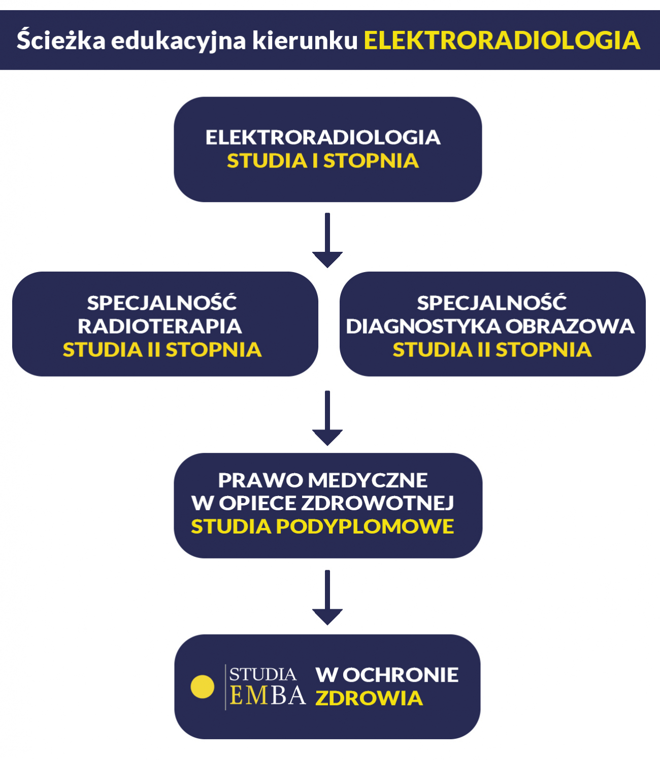 ścieżka edukacyjna elektroradiologia
