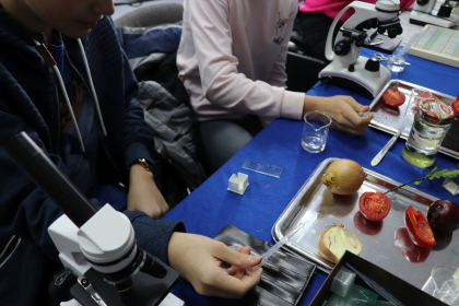 stoisko wystawców targów edukacyjnych